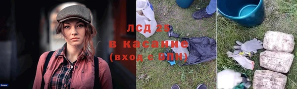 амф Алзамай
