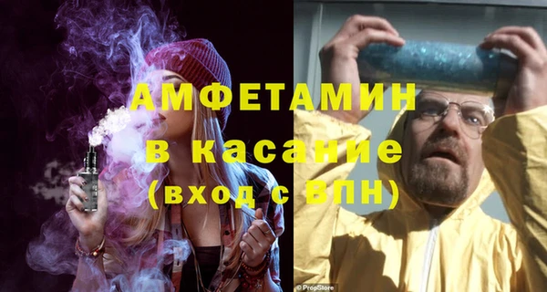 прущие грибы Переславль-Залесский