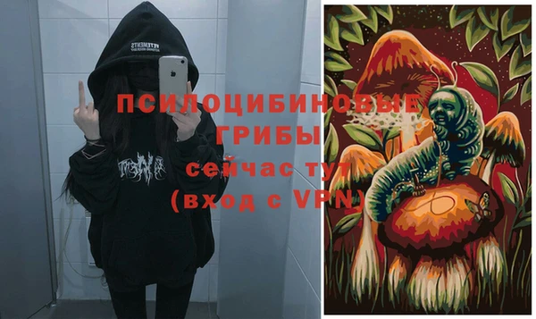 эйфоретик Алексеевка