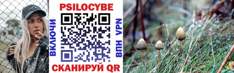 Галлюциногенные грибы Cubensis  Вилюйск 